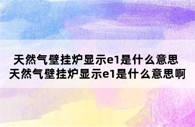 天然气壁挂炉显示e1是什么意思 天然气壁挂炉显示e1是什么意思啊